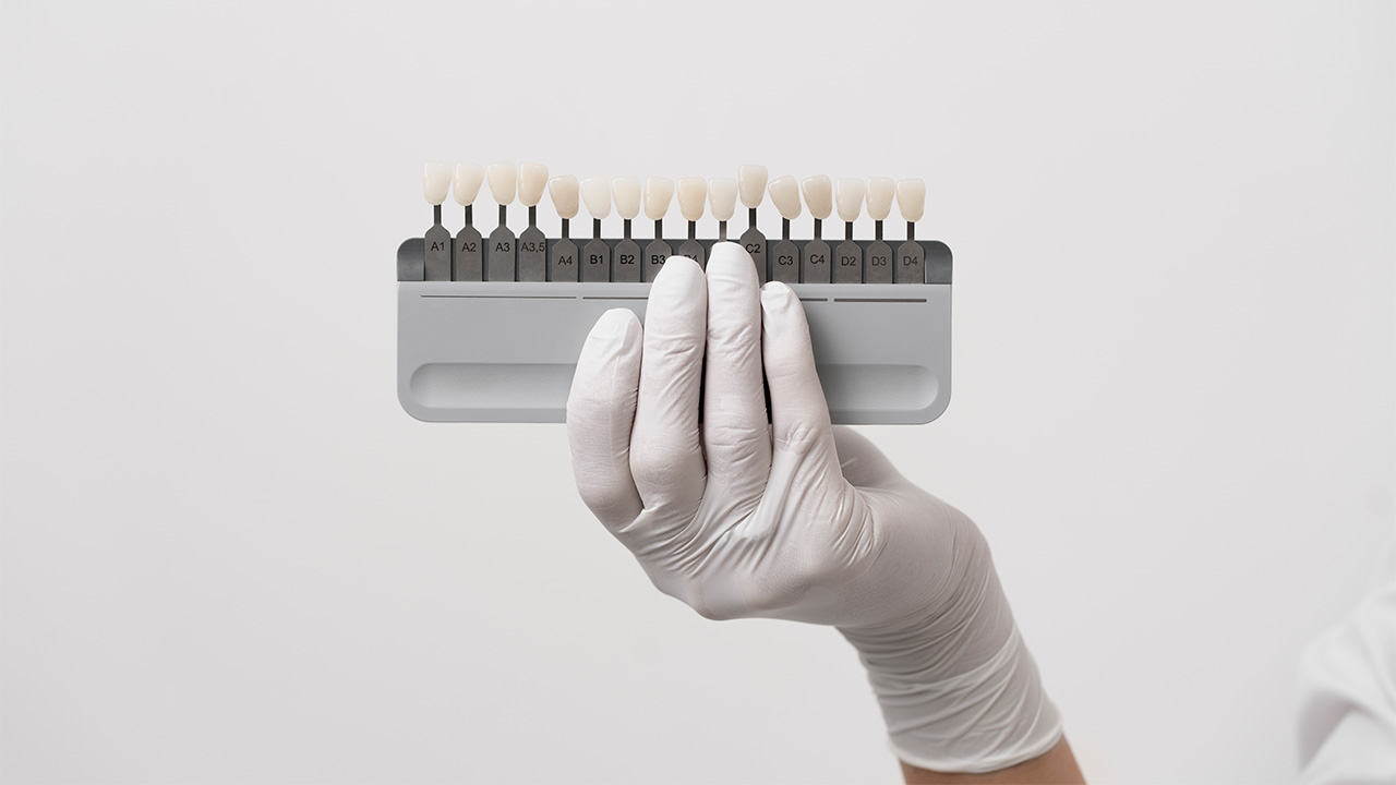 Showing various sizes and dental models