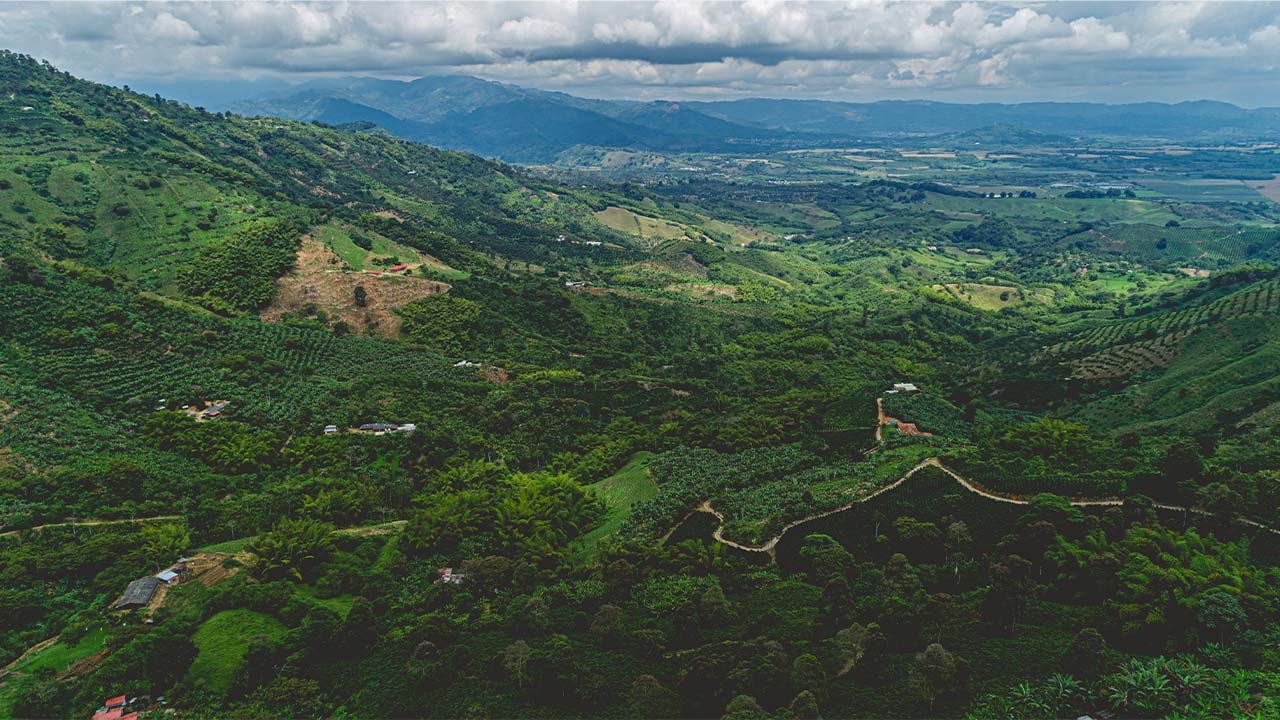 This image shows a coffee landscape in the Quindío department, a destination filled with mountainous areas covered many crops